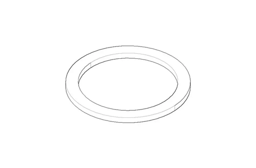 DORNBRACHT Dichtung NBR 70 ERSATZTEILE 091405062 63 mm, 09140506290 Galeriebild 1